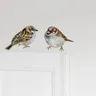 Adesivi da parete per uccelli Decorazione per uccelli da parete Arte dell'uccello da parete