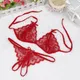 Sexy Lingerie Sex Bra Set Lace Hollow Out Underwear Sleepwear g-string Bra Suit Femme Lingerie Set