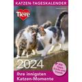 Katzen Tageskalender 2024 - Ein Herz fuer Tiere / GeraMond