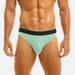 Ydkzymd Mens Briefs Stretch underwear Mens Briefs Plus Size Comfort Flex Long Leg Boxer Briefs Mint Green 2XL