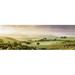 Trees in a field Villa Belvedere San Quirico dOrcia Val dOrcia Siena Province Tuscany Italy Poster Print by - 36 x 12