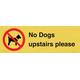 Schild mit Aufschrift "No Dogs upstairs please", 450 x 150 mm, L41