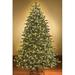 The Holiday Aisle® Sequoia Fir Pre-Lit LED Green Artificial Christmas Tree w/ 400 Clear/White lights, Metal in Black | 90 H x 45 W in | Wayfair