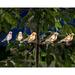 Solar LED Bird Clip On String Lights - 5PC SET - Solar Lights for Garden Balconies Trees Bird Baths Pathways & Fences - Decorative Solar Powered Bird Decor with Clip-On Feature