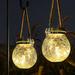 Solar Lantern 2 Pack Garden Decor Lights Waterproof Outdoor Lanterns with 30 LED Christmas Halloween Decorations Solar Lights Patio Hanging Lights for Backyard Fence Pathway Warm White