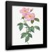 Redoute Pierre Joseph 15x18 Black Modern Framed Museum Art Print Titled - Single Tea Scented Rose Rosa indica fragrans flore simplici