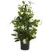 Nearly Natural 24 Stephanotis Artificial Climbing Plant