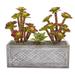 Nearly Natural 23 Echeverria Succulent Artificial Plant in Stone Planter