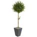 Nearly Natural 5.5 Olive Topiary Artificial Tree in Slate Planter