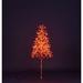 The Holiday Aisle® Starburst LED Lighted Trees & Branches in Orange | 48 H x 24 W x 24 D in | Wayfair EFAC7C12342C4AC29BA780788EF31FB4