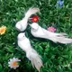 1Pc Garden Artificial Foam White Birds Home Decorative Feathers Birds Animal Decoration Pigeons Bird