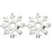 Gifts for Men - 18-in-1 Snowflakes Multi-Tool Gadgets for Men Christmas Gifts Cool Tools Small Gifts for Men Dad(2Pack)