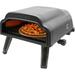 Flame King LEHAVA 14-inch Portable Outdoor Propane Pizza Oven for Camping & Outdoor Cooking in Black | 13.9 H x 17 W x 27 D in | Wayfair
