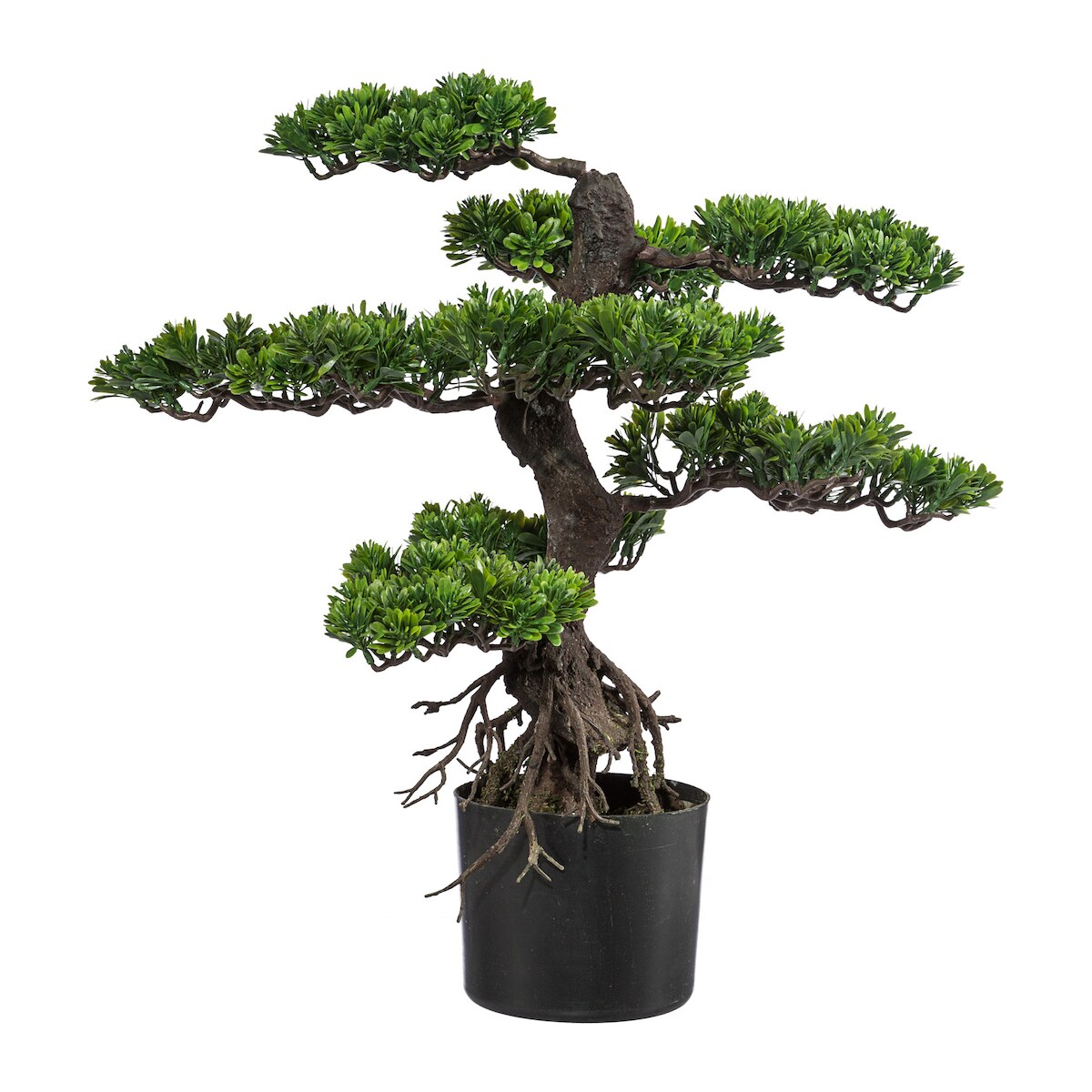 CREATIV green künstliche Pflanze Bonsai, ca 75cm, grün, Kunststoff, im Topf 17x14cm schwarz Image