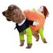 Mosey Halloween Pet Costume Cute Pumpkin Design Comfortable Eye-catching Cat Dog Clothes for Home Party Decor