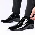 LYCAQL Men Shoes Fashion Summer And Autumn Men Leather Shoes Pointed Toe Low Heeled Lace Up Solid Dress Tennis Shoes for Men Leather (Black 8)