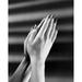 Close-Up of a Womans Hands in a Prayer Position Poster Print - 18 x 24 in.