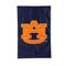 Auburn Tigers 28