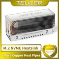 TEUCER M2-10 Dissipatore di calore a doppio tubo di calore M.2 2280 NVMe SSD Cooler con cuscinetto termico Accessori per computer