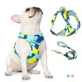 New Dog Cat Harness gilet regolabile guinzaglio da passeggio per cuccioli collare per cani