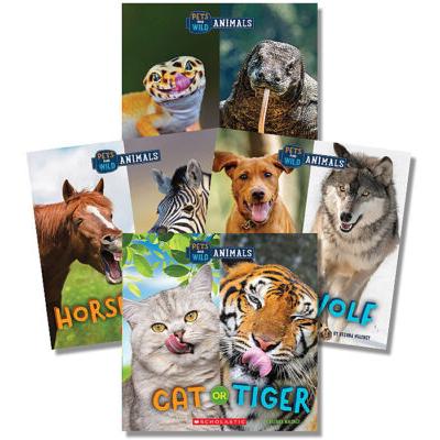 Wild World: Pets and Wild Animals Value Pack
