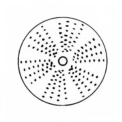 Electrolux Professional 650151 1/8" Grating Disc for Vegetable Slicer, Stainless Steel