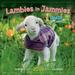 Sellers Publishing Lambies in Jammies 2024 Wall Calendar