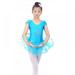 BULLPIANO Girls Ballet Dance Short Sleeve Full Tulle Tutu Skirted Dress Ballerina Costumes for Girls Toddler