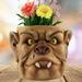 Giyblacko Flower PotsFace Planter Pots Head Planter With Hole Man Face Flower Pot Head Planter Succulent Planters For Indoor