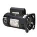 Regal Beloit Pool Pump Motor - 1.5 & 0.19 HP Square Flange 2-Speed Full-Rated Two-Compartment 48Y Threaded Shaft Stainless Steel Ball Bearing