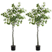 Eucalyptus Tree (2 pack) - Artificial Trees for Home Decor Indoor Floor Plants for Living Room Decor Faux Plants Indoor Tall Faux Eucalyptus Tree Artificial Plants for Home Decor Indoor - 6 Feet