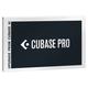 Steinberg Cubase Pro 13 Upgrade AI