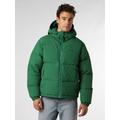 Lacoste Daunenjacke Herren grün, 50