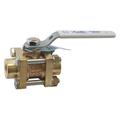 APOLLO VALVES 82LF10901 2-1/2" FNPT Bronze Ball Valve Inline