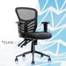 Click365 Flow Mid Back Mesh Office Chair, Extra Padded Seat Cushion, Adjustable Armrest Back Height Mesh, in Gray/Black | Wayfair CCHR10002A