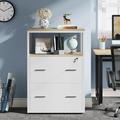 Inbox Zero 2-Drawer Lateral Filing Cabinet Wood in Gray/White | Wayfair EC204DFC16BE4FEC8E0898A1B2255B35