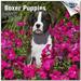 2023 2024 Boxer Puppies Calendar - Dog Breed Monthly Wall Calendar - 12 x 24 Open - Thick No-Bleed Paper - Giftable - Academic Teacher s Planner Calendar Organizing & Planning - Made in USA