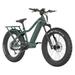 Apex 10 Electric Bike - 1000W - 17 in. Frame - Midnight Green