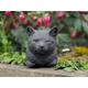 Unique black cat sculpture Sleeping cat figurine Cat grave kitty marker Cement cat figure Concrete statue for cat lovers Outdoor cat decor