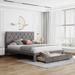 Grey & Beige Velvet Queen Storage Bed - Upholstered Platform Bed, Big Drawer, Elegant Design, Sturdy