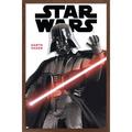 Star Wars: Saga - Darth Vader Feature Series Wall Poster 14.725 x 22.375 Framed