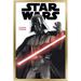 Star Wars: Saga - Darth Vader Feature Series Wall Poster 22.375 x 34 Framed