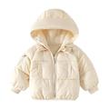Eashery Lightweight Jacket for Boys Kids Coat Warm Hooded Parka Jacket Winter Warm Shirt Sweater Tops Toddler Jacket (A 18-24 Months)