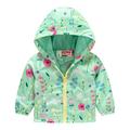Eashery Boys Winter Puffer Jacket Water Resistant Puffer Coat Padded Puffer Jacket Lightweight Pullover Top Jackets for Boys (Green 2-3 Years)