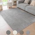 Ceneco Grey Area Rugs for Bedroom,Non Slip Washable Rugs for Living Room Area Rug Soft Short Pile Rug (Grey, 120×160cm)