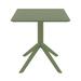 AllModern Farrah Square Patio Dining Table Plastic in Green | 27.5" W x 27.5" L x 29.5" H | Wayfair 074E0D9887DB41CFAC3CC5415E9E5E6C