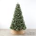 The Holiday Aisle® Lighted Artificial Christmas Tree - Stand Included in White | 7.5 ft. H | Wayfair EEBA56C199A64392ADC512250951E2A0