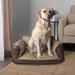 Tucker Murphy Pet™ Pet Sofa for Large Dogs Faux Leather in Brown | 14.6 H x 28.3 W x 23.6 D in | Wayfair 5845644EA2534511A3BD0A07210388B4
