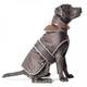 Ancol Dog Puppy Coats Stormguard Chocolate 7 Sizes - X-Large