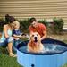 63 Inch Foldable Leakproof Dog Pet Pool Bathing Tub Kiddie Pool for Dogs Cats and Kids-Blue - Multi